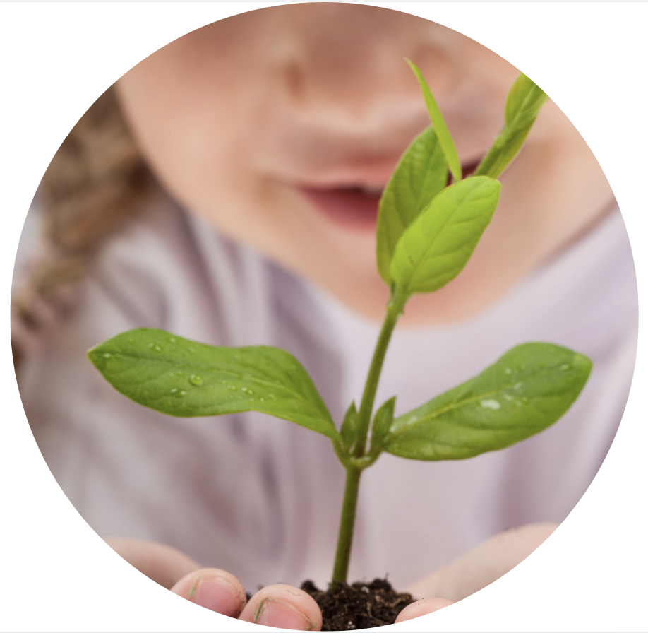 Ensino Fundamental I